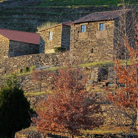 Cardenha Do Douro Βίλα Mesão Frio Δωμάτιο φωτογραφία