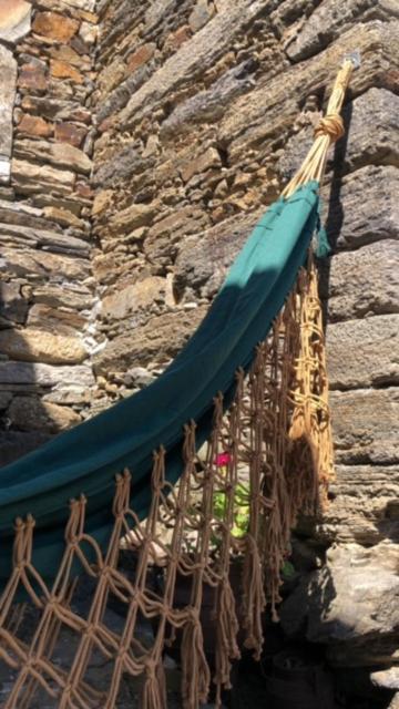 Cardenha Do Douro Βίλα Mesão Frio Εξωτερικό φωτογραφία