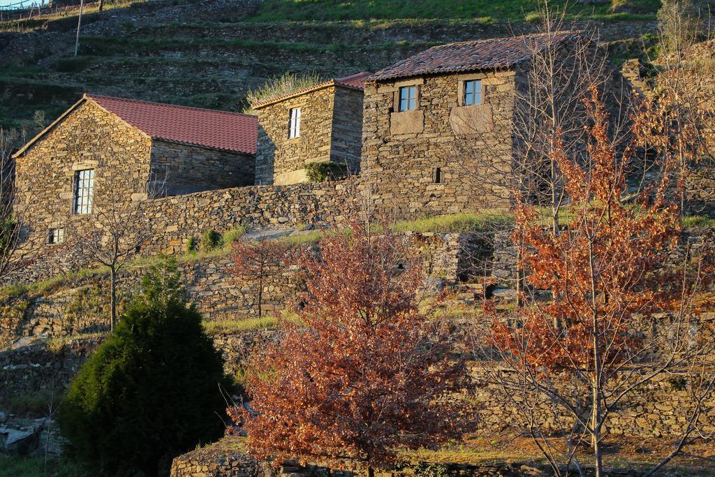 Cardenha Do Douro Βίλα Mesão Frio Δωμάτιο φωτογραφία